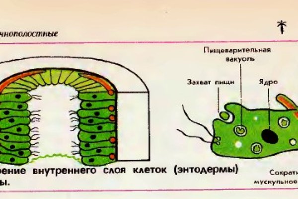 Кракен шоп krakenwebs org